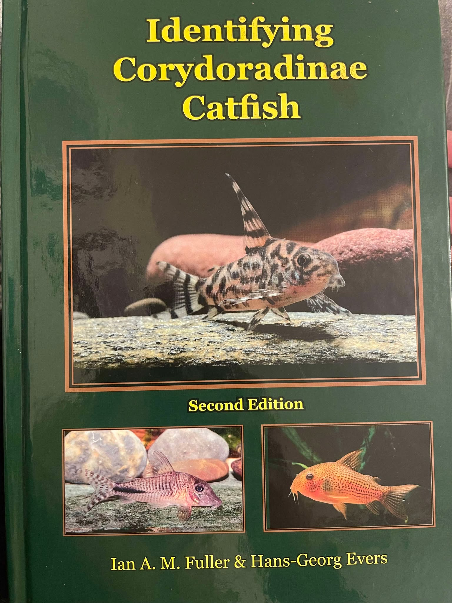A Review: Identifying Corydoradinae Catfish by Ian Fuller and Hans