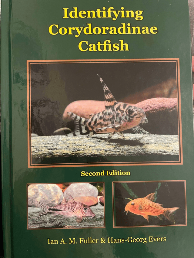 【超レア!】Identifying Corydoradinae Catfish A Review: Identifying Corydoradinae Catfish by Ian Fuller and Hans
